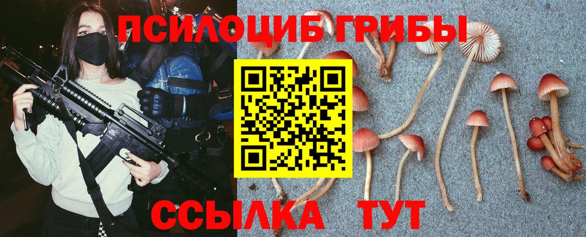Нальчик  Галлюциногенные грибы Magic Shrooms  магазин продажи   Галлюциногенные грибы мухоморы  Вход с VPN 